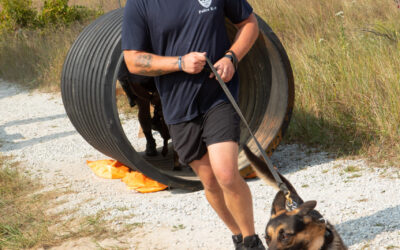 Celebrating the Heroes on Four Legs: Join Us for the Canine Obstacle Course Race
