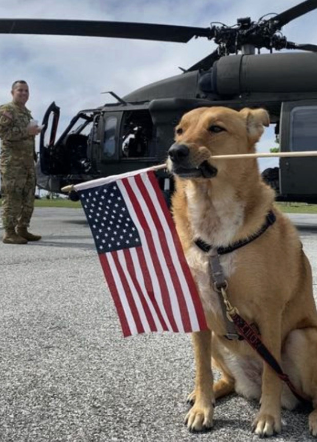 Dog with Flag and Helicopter